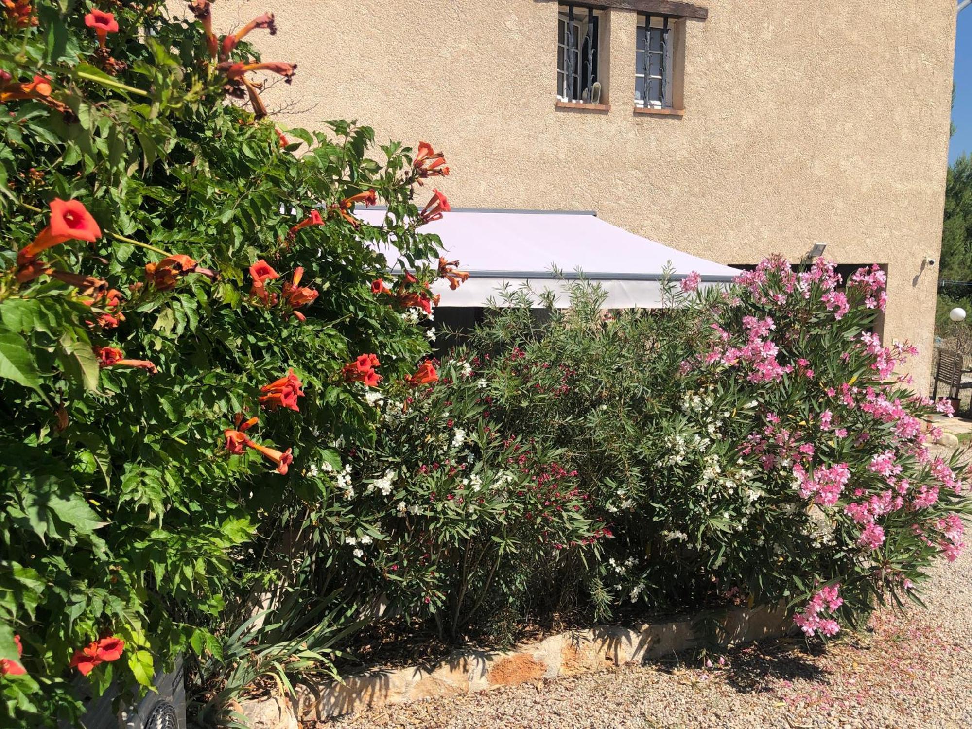 شقة Le Cocon De Provence فايانس المظهر الخارجي الصورة